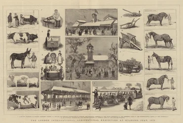 Lontoon kansainvälinen maatalousnäyttely Kilburnissa heinäkuussa 1879